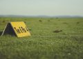 Close-up of a Tee 6 Par 4 sign on a golf course green field under clear skies.