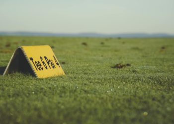 Close-up of a Tee 6 Par 4 sign on a golf course green field under clear skies.