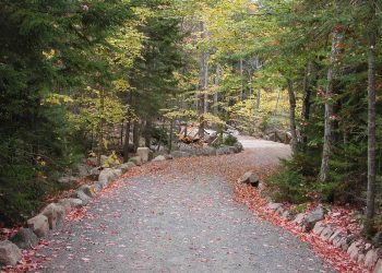 acadia national park, maine, path