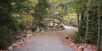 acadia national park, maine, path