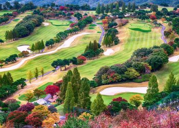 autumn, golf, golf course