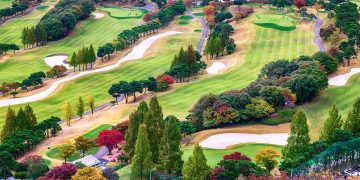 autumn, golf, golf course