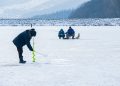 ice fishing, animal, snow