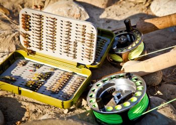 fly fishing, fish, angler