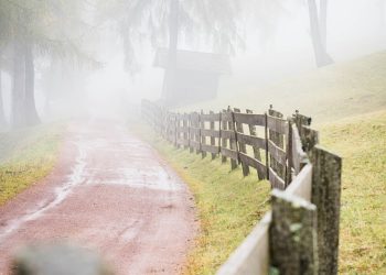 road, pathway, trail