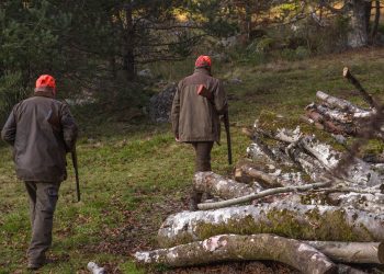 hunt, hunter, musket