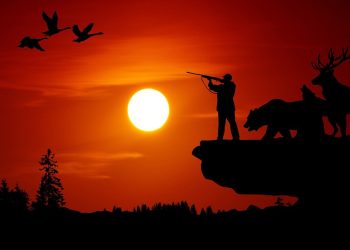 right to live, hunting ban, animal welfare