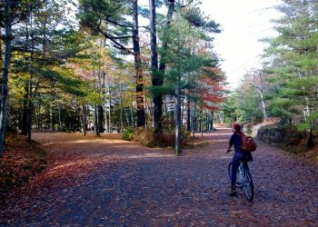 The Best Camping Destinations for Families